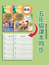 5th grade Book of books Language synchronized copybook People teaching edition of elementary school students Stroke Brush Stroke calligraphy Calligraphy Letters of Hard Pen Calligraphy Letters special practice characters Bench pen Children sketching practice writing at the beginning of the day
