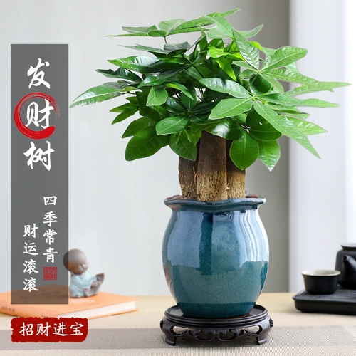 Большой бассейн с тремя положившимися на деревья