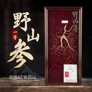 野山参礼盒装-野山参礼盒装促销价格、野山参礼盒装品牌- 淘宝 野山参礼盒装-野山参礼盒装促销价格、野山参礼盒装品牌- 淘宝
