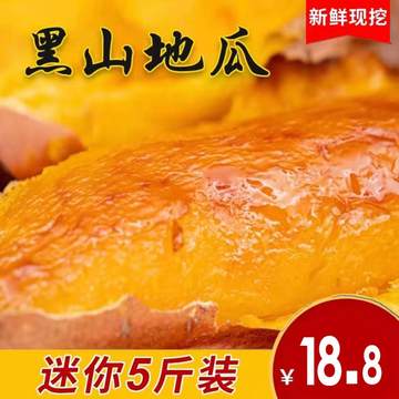 黑山地瓜蜜薯 烟薯25 （迷你）小5斤产品