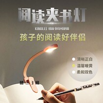 Rechargeable Reading Night Light Dormitory Bedroom Bed Head Holder Book Eye Lamp LED Small Desk Lamp Portable Mini Book Lamp
