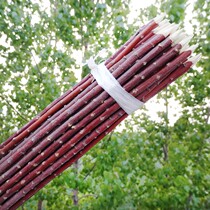 Red willow signature 30cm100 root red willow barbecue authentic red willow branch barbecue signature Xinjiang mutton string