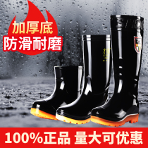 Cai Ruihai special long tube rain boots mens construction site long mens rain boots anti-skid water shoes mens medium and high cylinder rubber