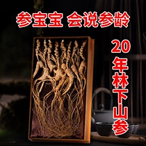 20-year-old Linxia wild mountain ginseng dried ginseng seed goods 30g Northeast Changbai Mountain brewing wine tonic specialty gift box affordable pack