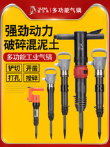 Sharp force horse strong air pick pneumatic chisel high power heavy duty professional impact gas pick rivet air shovel tool