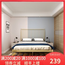 Net red bed 1 5 meters European wrought-iron beds 1 8 meters minimalist double rental dormitory canopy bed ins iron