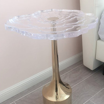 Acrylic coffee table balcony small table light luxury sofa side cabinet simple modern side rose transparent window table