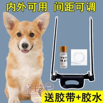 Kirky Special Dogs Stand Ear Instrumental Puppies Ears Correction Pet Puppies Bracket Fixer Small Dogs