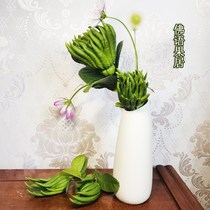 (Aquatic type) Jinhua bergamot green fruit Citron bergamot clear for playing ornamental hydroponic flower arrangement