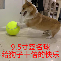 9 5 inch large tennis inflatable tennis pet toy ball inflatable toy dog ten times happy tennis