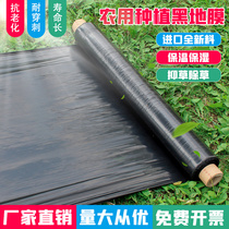Agricultural planting thickened anti-aging black film plastic film weeding insulation and moisturizing grass-proof greenhouse fruit tree orchard