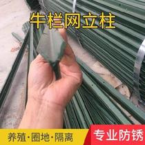 Base bullpen vertical durable vegetable field fixed rod guard net outdoor mesh steel belt hole with hard iron wire chassis pointed column