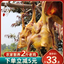 Air-dried chicken 2kg whole Anhui specialty salty chicken chicken farm diy hand-pickled free-range native chicken characteristic wax flavor
