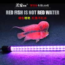 Fish tank Aquarium special full spectrum waterproof red parrot arhat fish lamp Red fish color led lighting lamp