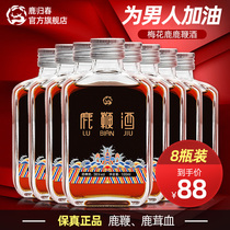 8 bottles of deer spring deer whip wine tonic wine for men with Jilin Sika deer whip health non-bubbling wine gift box for a long time white wine