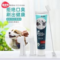 Terry Cat Dedicated Toothbrush Toothpaste Set Excluding Smell for Edible Pet Cleaning Teeth Fingers