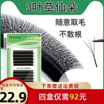 3D one-second automatic flowering grafting eyelashes Three-leaf fairy grass Y-shaped eyelashes 0 05 soft camellia yy false eyelashes