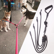 Detachable two dogs one drag two traction rope double head walking dog rope dog chain Teddy Gold Wool small large canine supplies