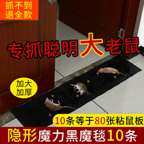 Glue mouse board strong adhesive Big Mouse King King super strong mouse patch board super large number mouse artifact a nest end