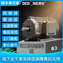 Dedong YE2 national standard horizontal three-phase asynchronous motor 0 75-45KW-6 pole-380V) Future ten thousand