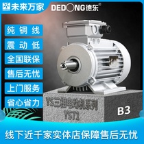 Dedong national standard YS71 series low power 380V horizontal asynchronous motor three-phase motor B3) Future ten thousand homes