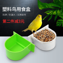 Parrot bird food box Plastic semicircular hanging bird cage accessories Starling tiger skin feeder Water box Bird supplies