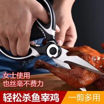 Household kitchen scissors stainless steel meat cutting kitchen knife cooking knife multifunctional chicken bone scissors barbecue scissors