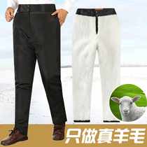 Chengcheng winter plus velvet thick warm sheepskin pants leather and fattened middle-aged wool cotton pants leather wool men and women