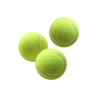 Tennis beginner high elastic and resistant to training Tennis abrasion resistant early intermediate competition special massage pet ball