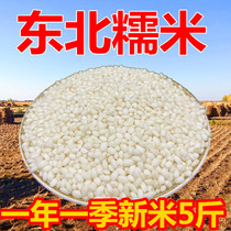 Glutinous rice 5 pounds 2020 new rice Northeast Heilongjiang Baijiang Rice Sticky rice sticky rice round glutinous rice rice wine bag dumplings