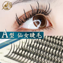 Magpie Cedar A- type false eyelash hair natural simulation beauty ciliary fairy hair M-type mixed suit itself grafted fairy eyelashes