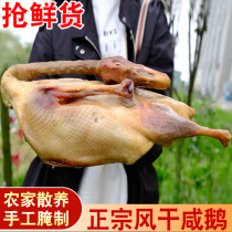 Salty goose farmhouse hand-marinated Anhui specialty goose meat air-dried big goose goose grass goose grass goose grass goose whole new bacon duck