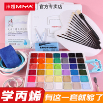 Mia acrylic painting paint hand painted wall painting painted waterproof paint one original face 90ml42 color acrylic paint set training joint test DIY beginner graffiti practice pigment black