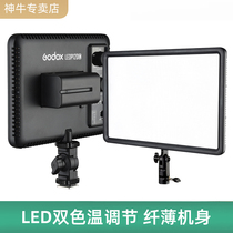 Shen Niu LED fill light P120-260C Live food flat photography soft light Wedding photo light Lighting light