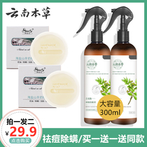 Yunnan Materia medica anti-mite spray Bed mite artifact Anti-mite spray Face and back acne anti-mite soap