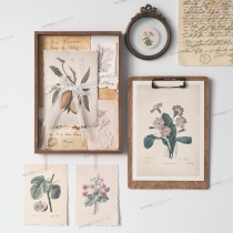 retro hand-torn color picture combination postcard drawings a4 paper background painting pictures draft wood clip board clip