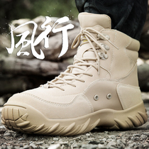 Combat training boots male special forces shoes low-top tactical boots wear-resistant non-slip waterproof outdoor desert fast-reverse boots hiking boots