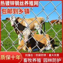 Galvanized barbed wire hook net breeding fence net dog chicken sheep breeding net Mountain Orchard protective net
