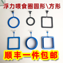 Fish tank feeder Aquarium Fish food feeder Feeding circle Small fish Tropical peacock feed Buoyancy feeder