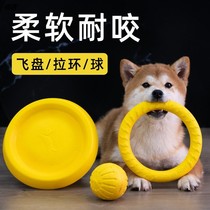 Pet toy dog Frisbee flying saucer firewood dog border grazing supplies resistant to bite molars toy ball bouncy ball
