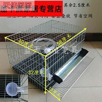 Quail cages Home Egg Quail Cages