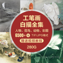 Work Stroke White Sketch manuscript HD Photo set material Song Little character Flower Bird Guanyin Line manuscript copy electronic version