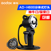 Shenniu AD600pro outside lamp split lamp head flash photography lamp camera SLR lamp holder off machine H600P