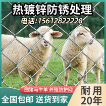 Hot-dip galvanized iron wire mesh mesh aquaculture Orchard net Dutch chicken duck sheep pig cow protective net fence