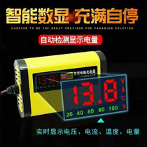 Motorcycle battery charger pedal 12v volt charger punching lead-acid battery intelligent repair Universal