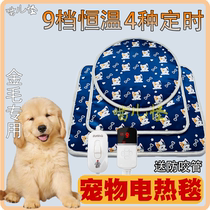 Gold Hair Special Pet Electric Blanket Home Thermostatic Waterproof Mat Heating Warmer Winter Warm Electric Bedding Anti Bite Pipe