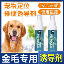 Golden Hair Special Dog Inducers Fixed Point Defecation Training Toilet Liquid Guide Urine relieving Position Urine Supplies Pets