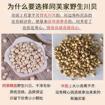 Tong Fu selected Sichuan Fritillaria gift box 30g Sichuan shell powder for snow pear cream Chinese herbal medicine Songbei Fei Pingbei