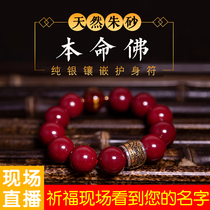 Cinnabar charm bracelets year cow beads bracelet to ward off evil spirits and zhuan yun zhu men Angelica polymorpha shi er sheng xiao