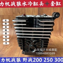 Original Lifan Jialing Dajiang field wolf 250 sets of cylinder Wolf 250 cylinder head assembly camshaft rocker arm